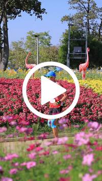 BIB:  <button type="button" onclick="openModal(27588437)" class="btn btn-primary btn-sm float-right" data-toggle="modal" data-target=".modal-high-quality">
                <i class="fa fa-download"></i> Download
                </button>